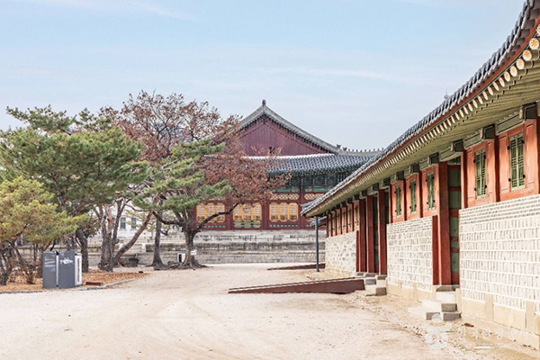 흙길과 담장을 따라 보이는 덕수궁 중화전 뒷모습과 나무들
