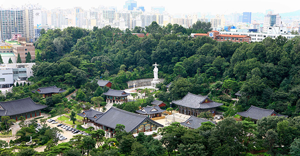 울창한 숲에 둘러싸인 서울 봉은사 전경과 도심 아파트 단지 배경