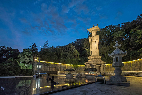 조명이 켜진 미륵대불과 밤하늘 아래 차분한 분위기의 봉은사 풍경