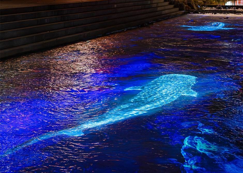 서울빛초롱축제 청계천 수면 위에 비친 고래 형상의 빛 연출 야경