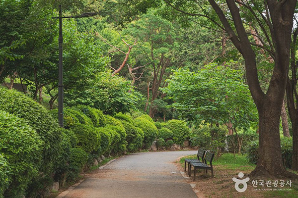 남산야외식물원 대표 사진