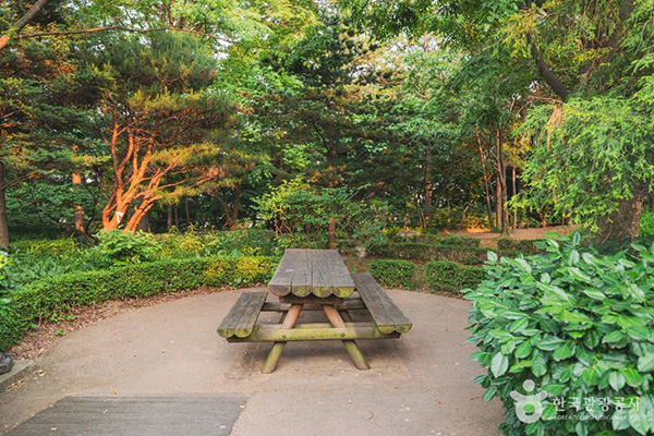 서울 남산야외식물원 숲속 피크닉 테이블이 있는 휴식 공간 풍경