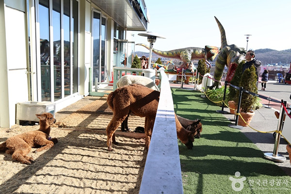 몬스터리움 전경 사진