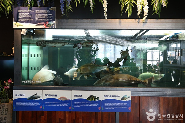 몬스터리움 전경 사진