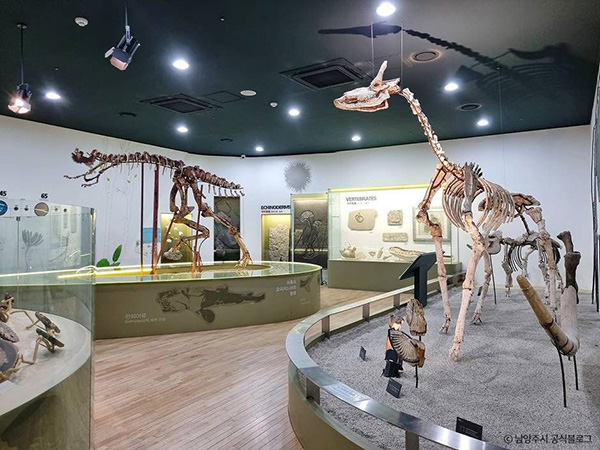 미호박물관 실내 공룡 골격 화석 전시관