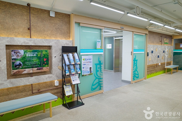 벅스리움 내부 출입구 및 안내 공간