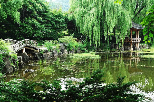 벽초지수목원 사진