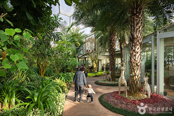 부천호수식물원 수피아 실내 내부 산책로