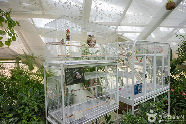 부천호수식물원 수피아 실내 새 전시 공간