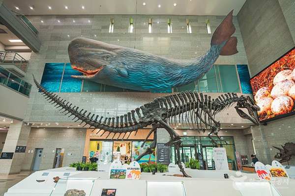 서대문자연사박물관 고래 모형과 공룡 화석