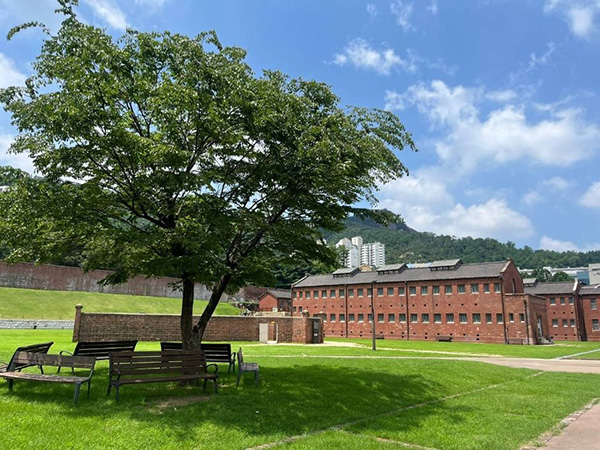 서대문형무소역사관 푸른 잔디밭과 커다란 나무, 벤치 뒤로 보이는 붉은 벽돌의 서대문형무소 옥사 전경