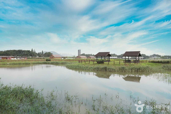 시흥 갯골생태공원 갯골 수로
