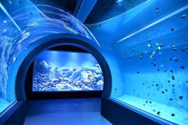 시흥 해양생태과학관 대표 사진