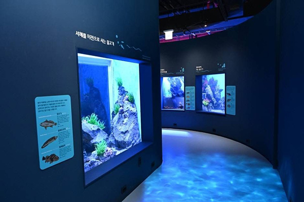 시흥 해양생태과학관 서해를 터전으로 사는 물고기 전시 수조