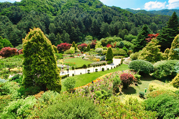 아침고요수목원 사진