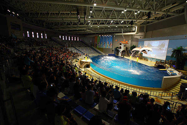 아쿠아플라넷 제주 오션아레나 공연장 전경