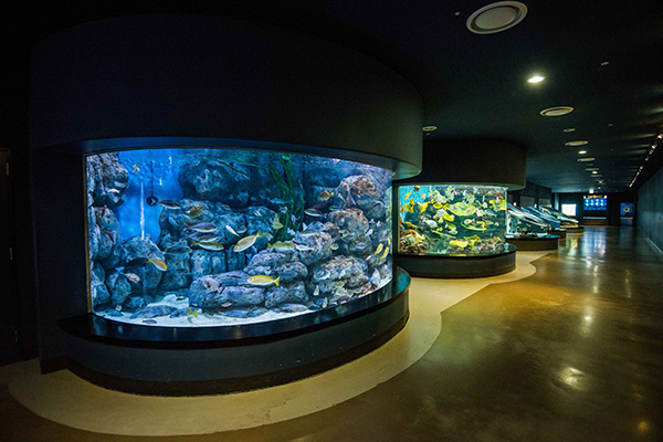 아쿠아플라넷 제주 실내 수족관 전시 공간 전경
