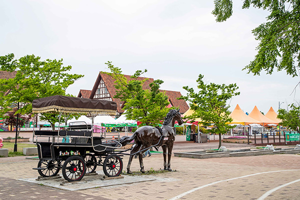 안성팜랜드 마차 체험 공간과 농촌 테마 풍경

