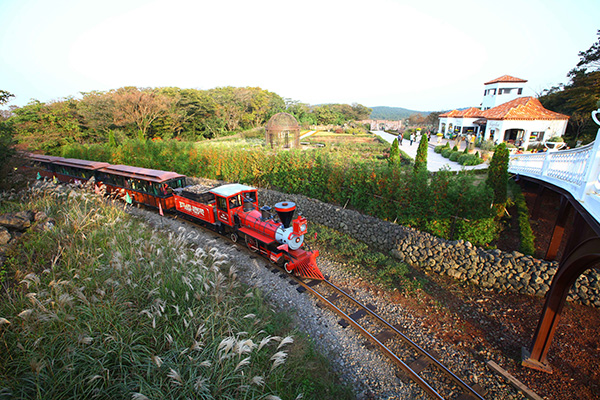 에코랜드 테마파크 대표 사진