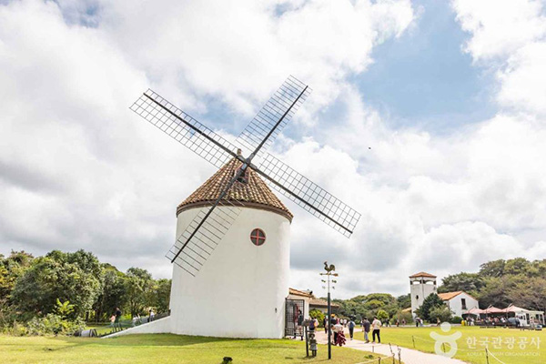 제주 에코랜드 테마파크 풍차 정원과 산책로 전경