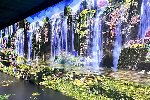 원더파크 대표 사진