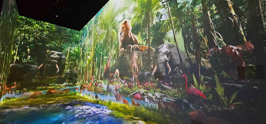 원더파크 정글 동물 미디어아트 체험 공간