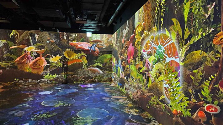 원더파크 해양 생태계 미디어아트 체험 공간