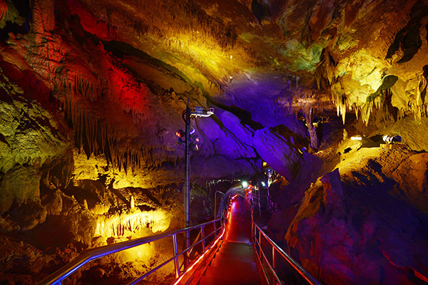 천곡황금박쥐동굴 사진