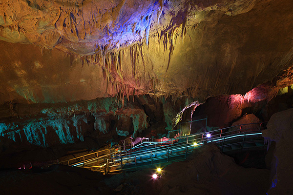 천곡황금박쥐동굴 사진