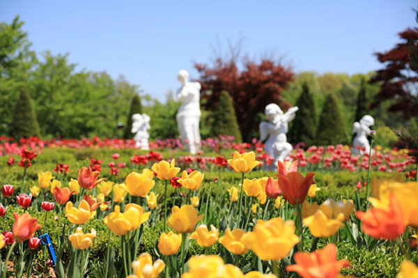 퍼스트가든 사진