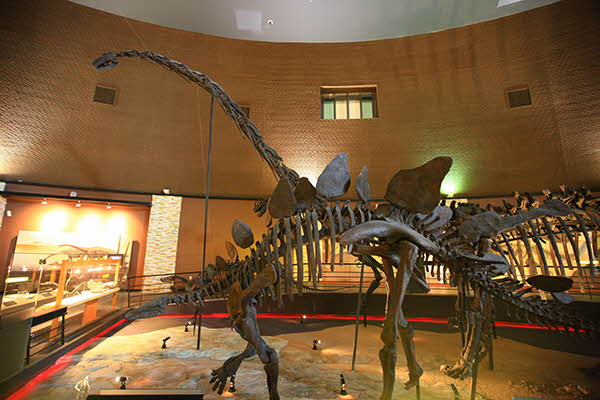 해남공룡박물관 사진