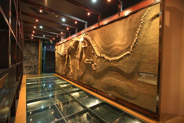 해남공룡박물관 전경 사진